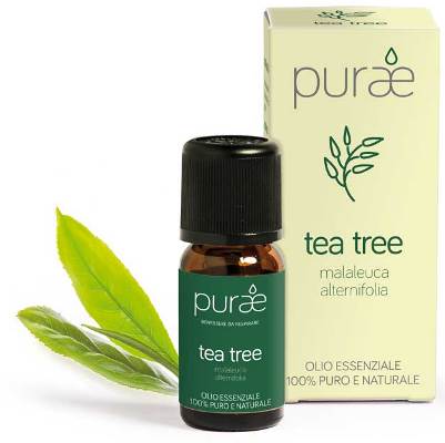 PURAE OE ALBERO TEA FGL