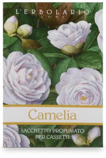 CAMELIA SACCHETTO PROF CASS