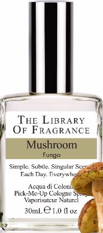 MUSHROOM FRAGRANCE 30ML