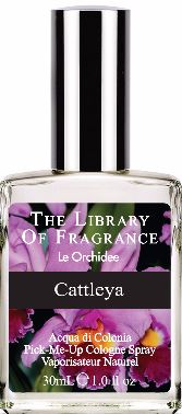 ORCHID COLLECTION CATTLEYA FRA