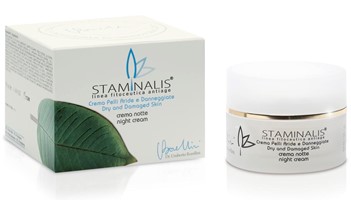 STAMINALIS DRY DAM SKIN NIGHT