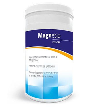 LDF HIDRASAL MAGNESIO 300G