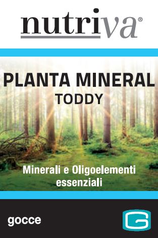 NUTRIVA PLANTA MINERAL TODDY