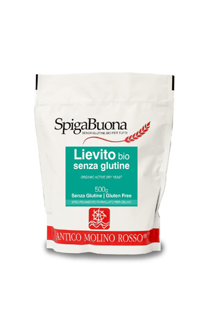 SPIGA BUONA LIEVITO BIO 500G