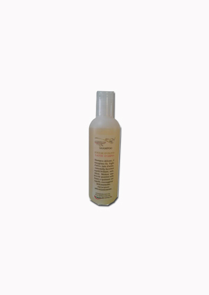 SHAMPOO FOGLIE OLIVE/LTT ASINA