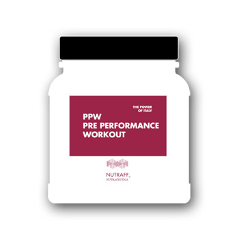 NUTRAFF PPW PRE PERFORMANC300G