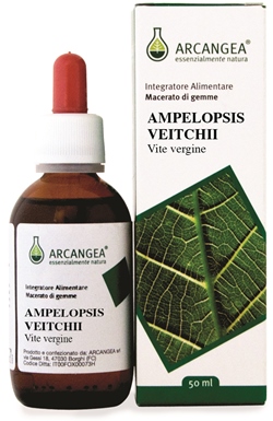 AMPELOPSIS VEIT GD 50ML