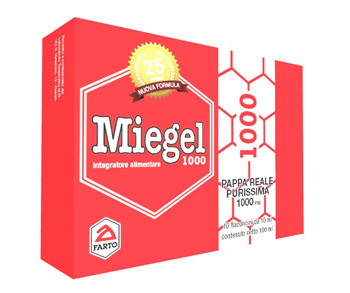 MIEGEL 1000 10FLX1G