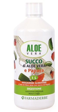 ALOE VERA SUCCO E PAPAYA 1L