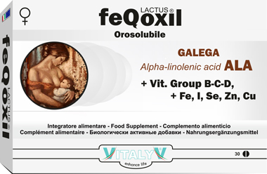 FEQOXIL LACTUS 30CPR MASTIC