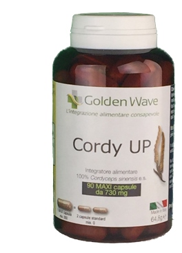 CORDY UP 90MAXI CPS