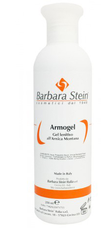 ARMOGEL 250ML