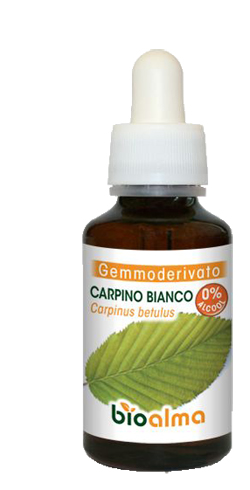 BIOALMA CARPINO BI GEMMOD 60ML