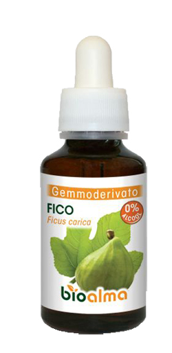 BIOALMA FICO GEMMOD 60ML