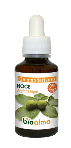 BIOALMA NOCE GEMMOD 60ML