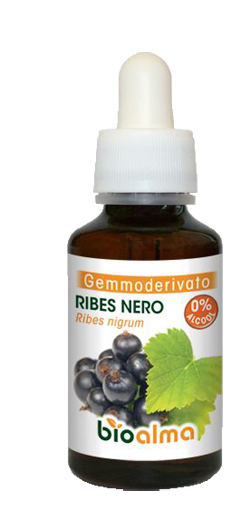 BIOALMA RIBES NERO GEMMOD 60ML