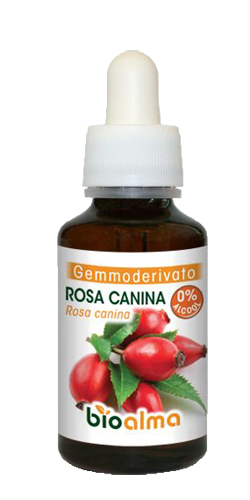 BIOALMA ROSA CAN GEMMOD 60ML