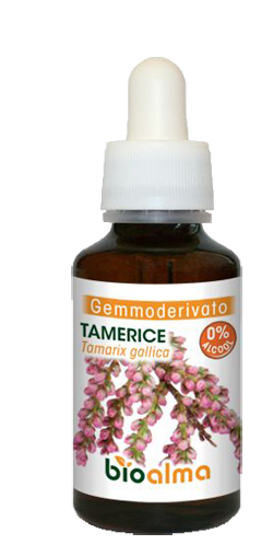 BIOALMA TAMERICE GEMMOD 60ML