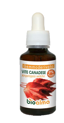 BIOALMA VITE CANADESE GEM 60ML