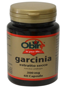 OBIRE GARC CAMB 300MG 60CPS