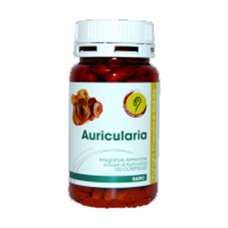 AURICULARIA LINEA BASIC 120CPR