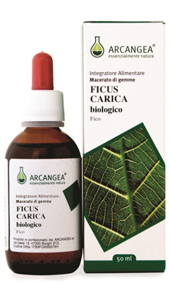 FICUS CARICA GD 50ML BIO