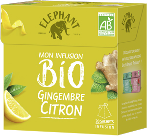 ELEPHANT INFUSO LEM/GINGER BIO