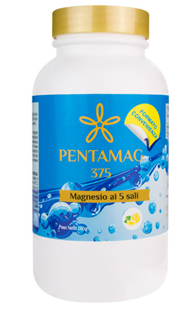 PENTAMAG MAGNESIO 375 280G