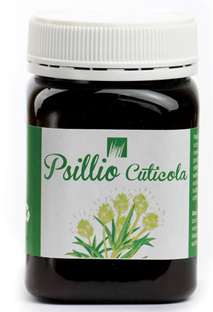 PSILLIO CUTICULA 200G