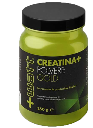 CREATINA+ POLVERE GOLD 350G