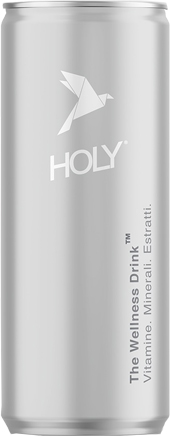 HOLY CLASSIC 4X250ML