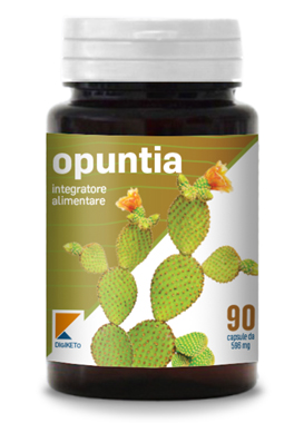 DIGIKETO OPUNTIA 90CPS