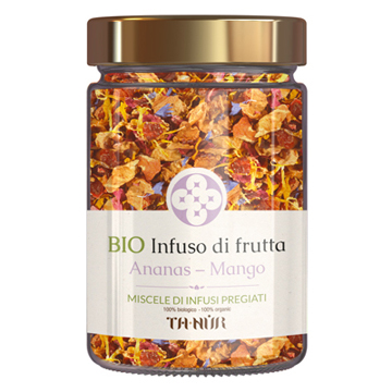 ANANAS MANGO BIO INF FRUT 70G