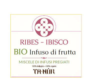 RIBES IBISCO BIO INFUSO FRUTTA