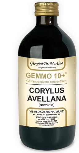 NOCCIOLO 500ML ANALCO GEM 10+