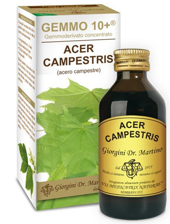 ACERO CAMP 100ML ANALCO GEM10+