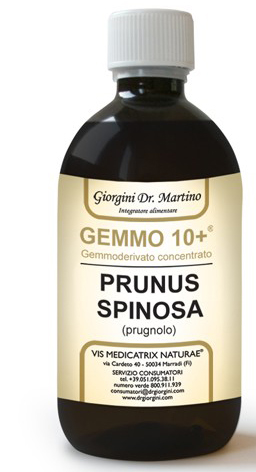 PRUGNOLO 500ML ANALCO GEMMO10+