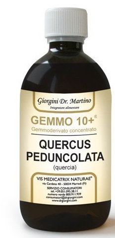 QUERCIA 500ML ANALCO GEMMO 10+