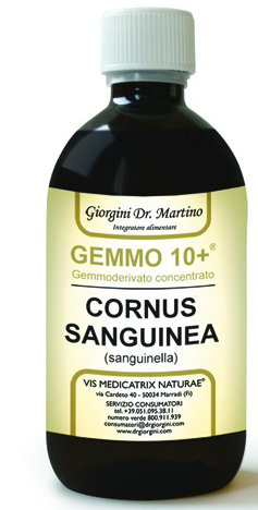 SANGUINELLA 500ML ANALCO GE10+