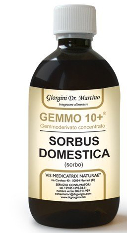 SORBO 500ML ANALCO GEMMO 10+