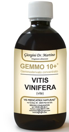 VITE LIQ ANALCO GEMMO10+ 100ML