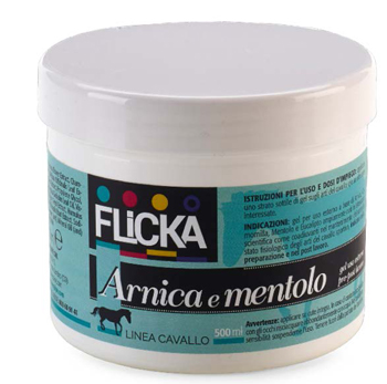 ARNICA GEL MENTOLO FL 500ML