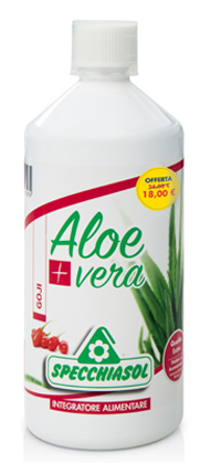 SUCCO ALOEVERA+ GOJI PROMOZION