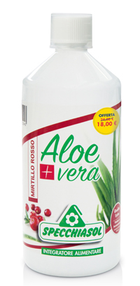 SUCCO ALOEVERA+ MIRTILLO PROMO