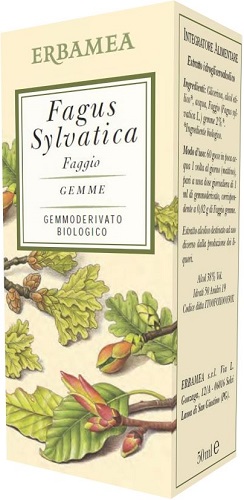 FAGUS SYLVATICA FAGGIO BIO50ML