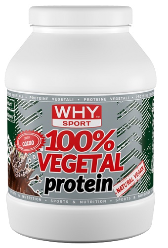 100% VEGETAL PROTEIN CACAO750G