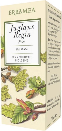 JUGLANS REGIA NOCE BIO 50ML