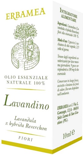 LAVANDINO 10ML