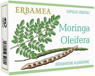 MORINGA OLEIFERA 24CPS