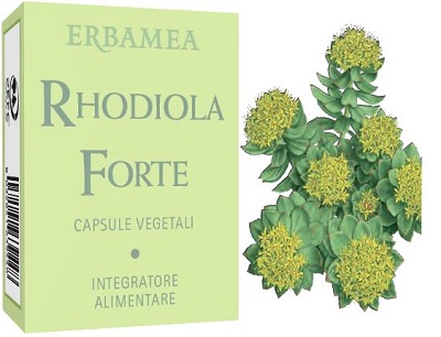 RHODIOLA FORTE 24CPS